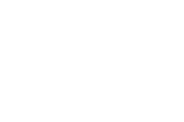 Firmenlogo von Partner 6